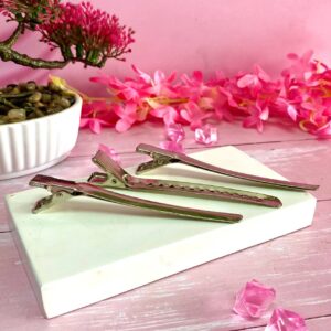 Pinzas Clips Metálicas x12