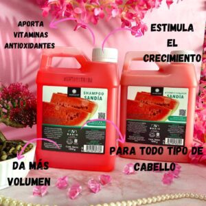 GALONCITOS SHAMPOO