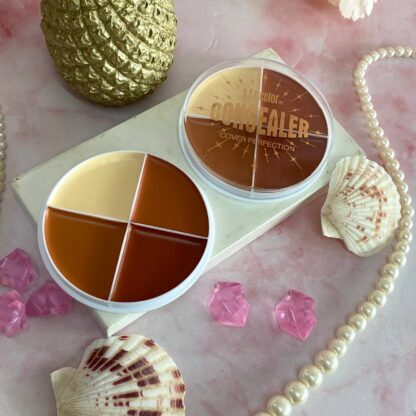 CONCEALER COVER PERFECTION