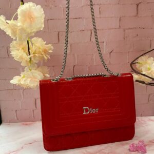 CARTERA DIOR