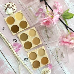 Concealer Contorno Ushas 4 Tonos